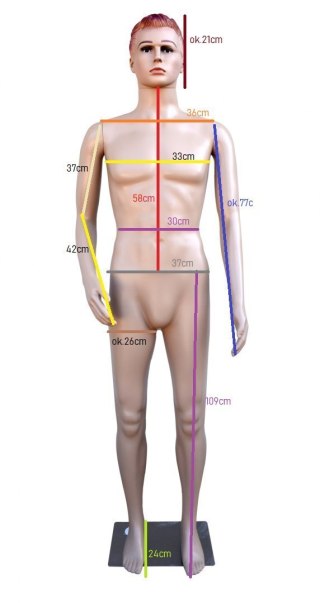 Manekin wystawowy męski pełnopostaciowy 187 cm z głową stabilny