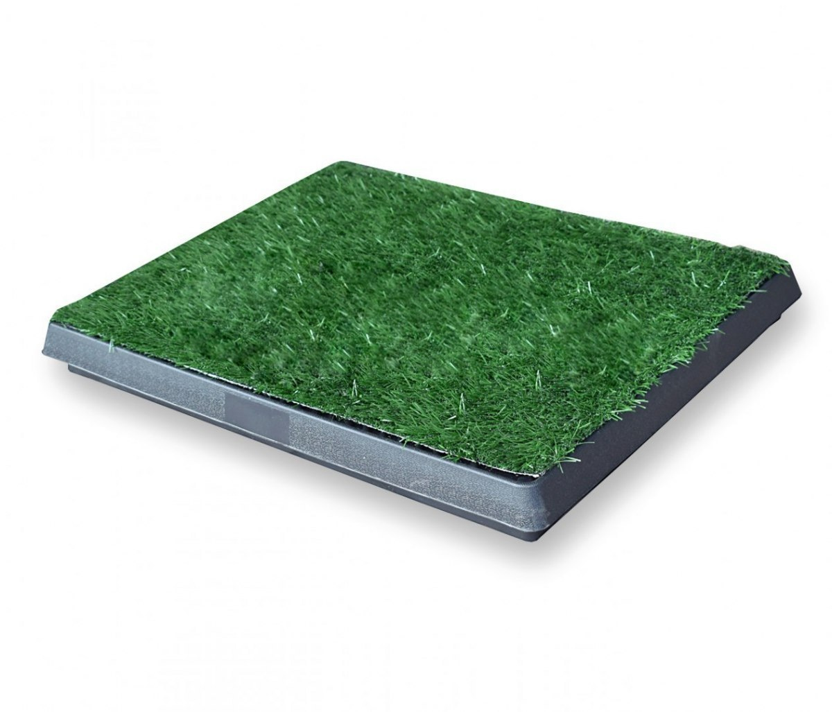 Cuvette for animals with imitated grass for teaching Cuvette for animals with imitated grass for teaching