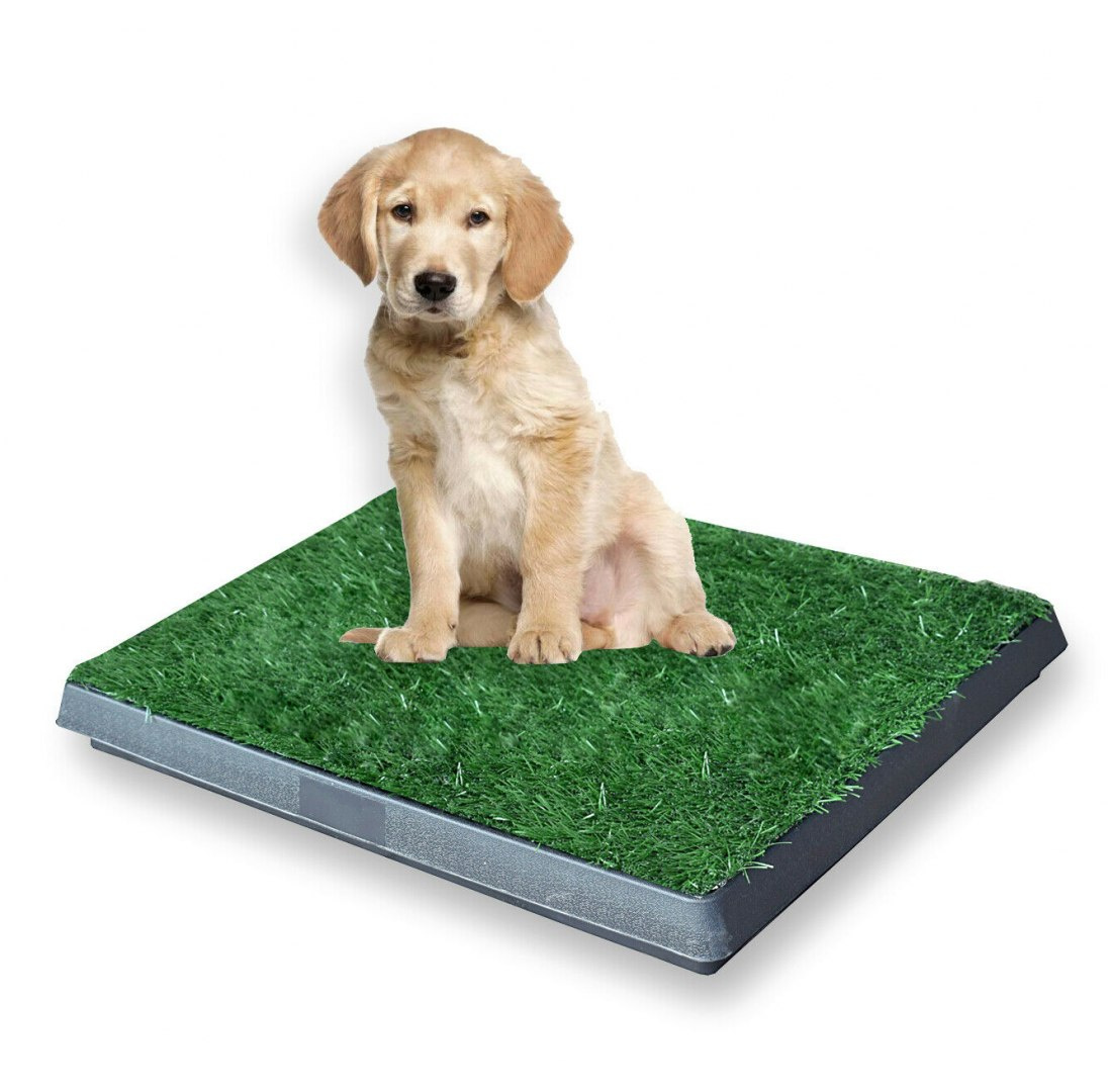 Cuvette for animals with imitated grass for teaching Cuvette for animals with imitated grass for teaching