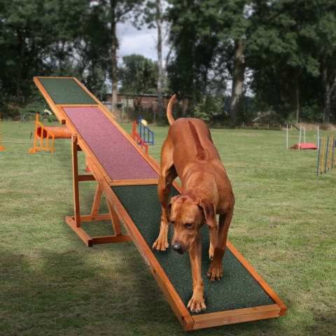 Dog Buncing Ramp